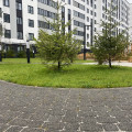 Классико гранит серый с черным
